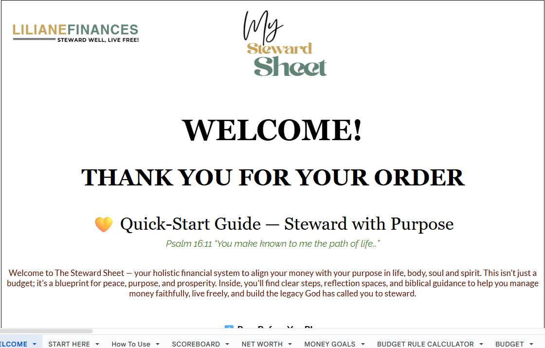 THE STEWARD SHEET - STEWARDSHIP BUDGETING TOOL All-in-1 - Image 2