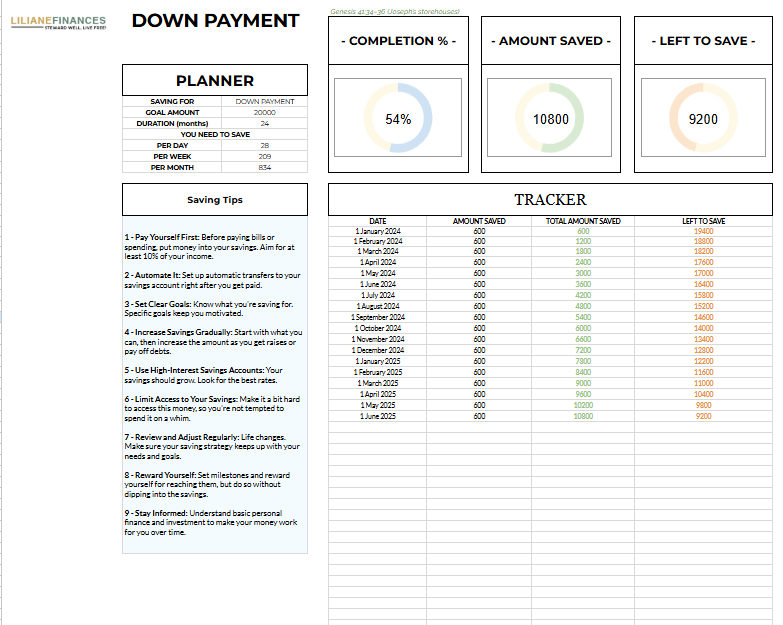 THE STEWARD SHEET - STEWARDSHIP BUDGETING TOOL All-in-1 - Image 9
