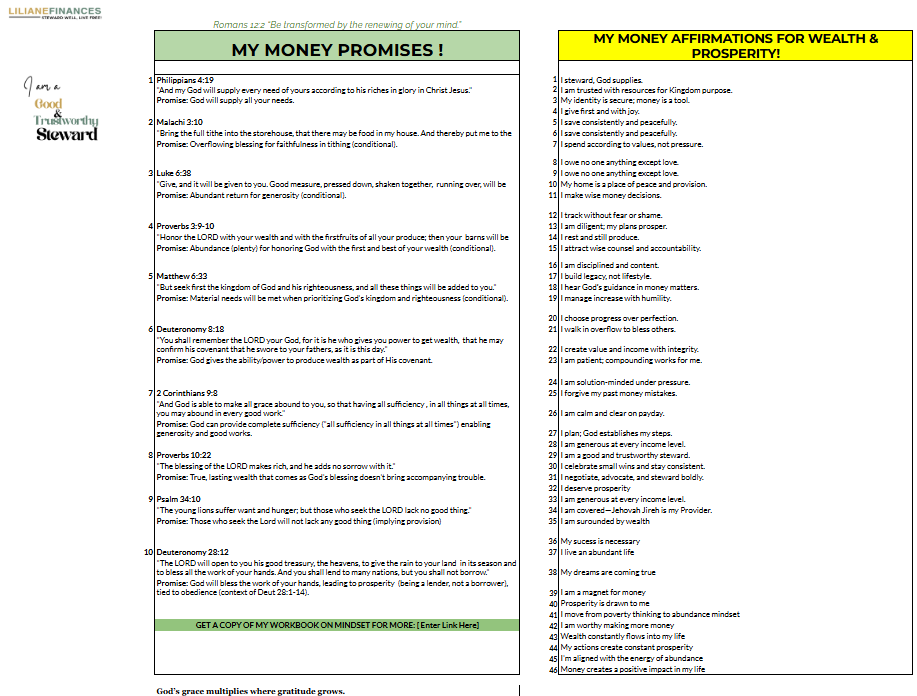 THE STEWARD SHEET - STEWARDSHIP BUDGETING TOOL All-in-1 - Image 12