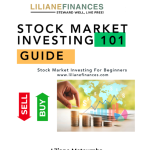 Stock Market Investing 101: The Beginner’s Step-by-Step Blueprint to Start Investing with Confidence